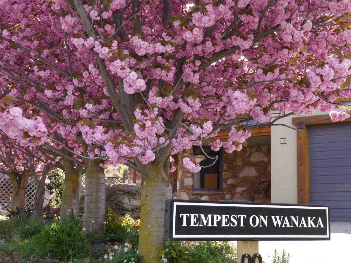 Bed and Breakfast Tempest On Wanaka Exterior foto
